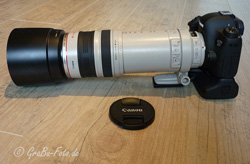 Canon L 100-400mm